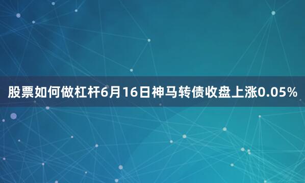 股票如何做杠杆6月16日神马转债收盘上涨0.05%