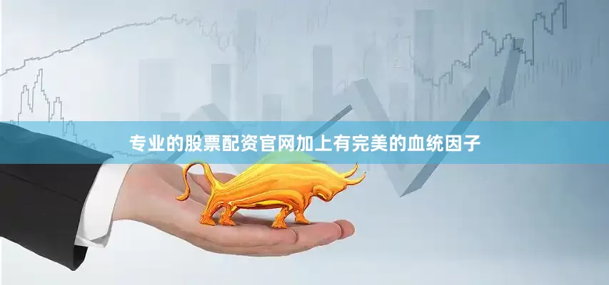 专业的股票配资官网加上有完美的血统因子