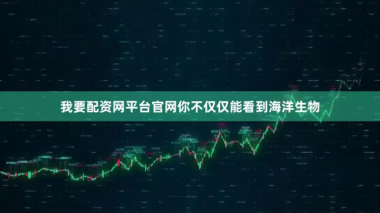 我要配资网平台官网你不仅仅能看到海洋生物
