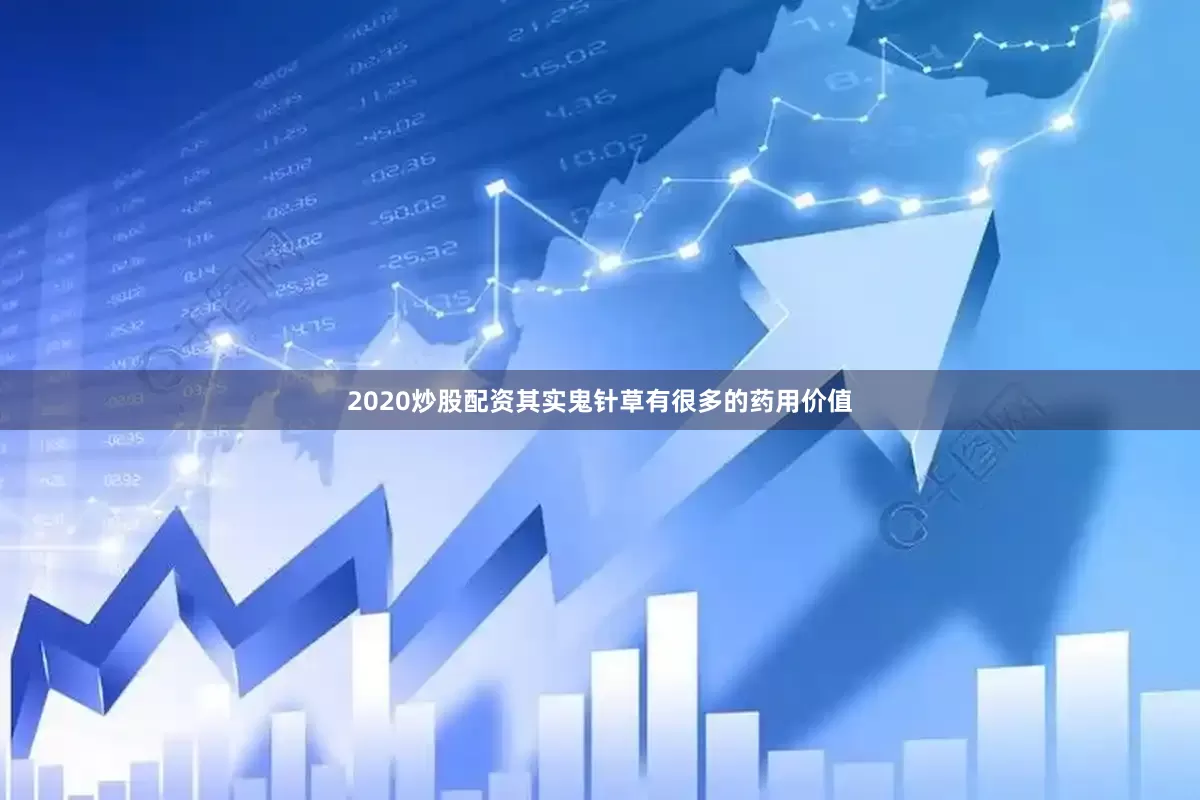 2020炒股配资其实鬼针草有很多的药用价值