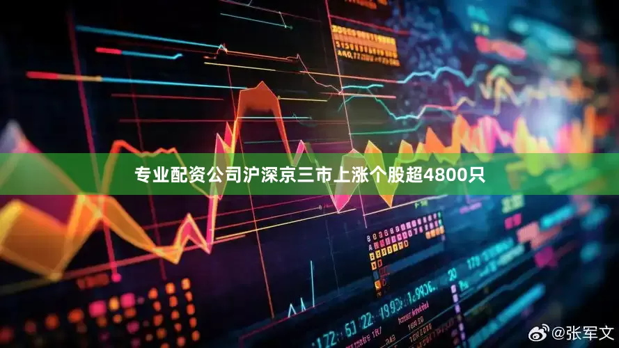 专业配资公司沪深京三市上涨个股超4800只