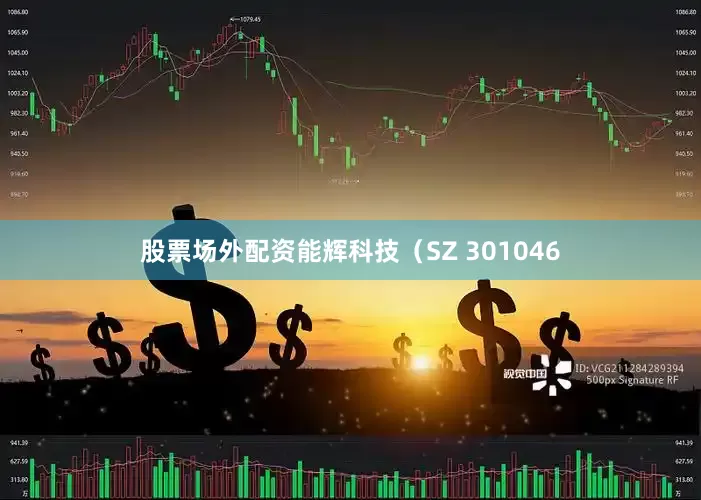 股票场外配资能辉科技（SZ 301046